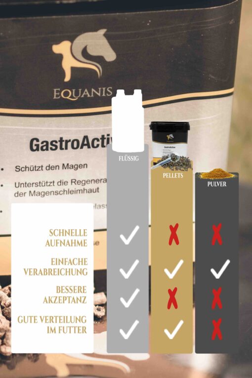 Magengeschwüre Pferd