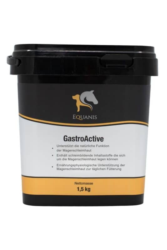 Magengeschwüre Pferd
