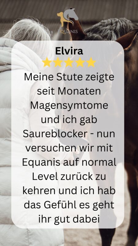 Erfahrung GastroActive Equanis