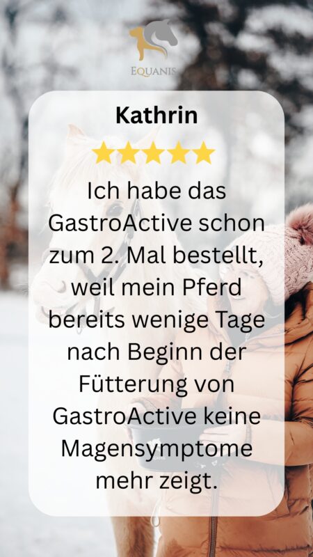 Erfahrung GastroActive Equanis