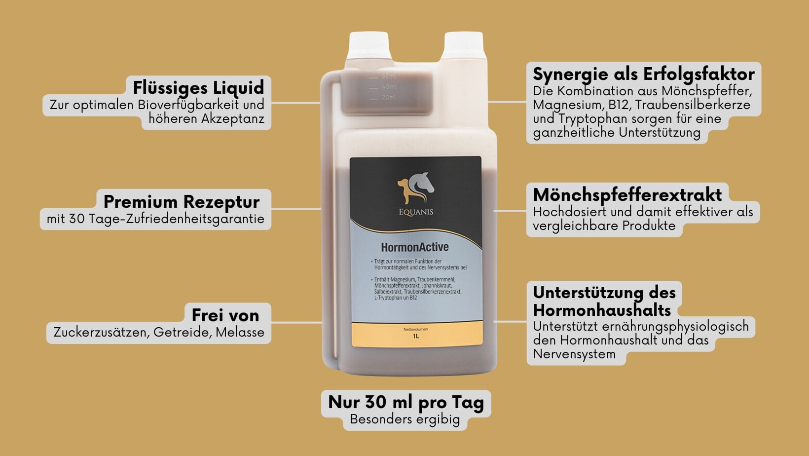 Mönchspfeffer Pferd