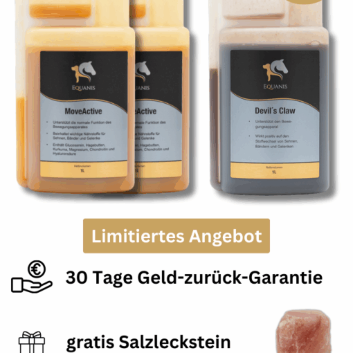 Gelenke Pferd