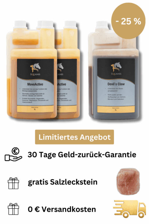 Gelenke Pferd