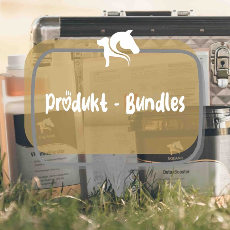 Bundles