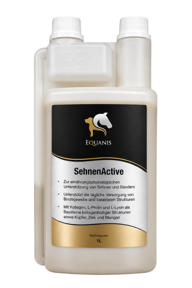 Sehnenschaden Pferd