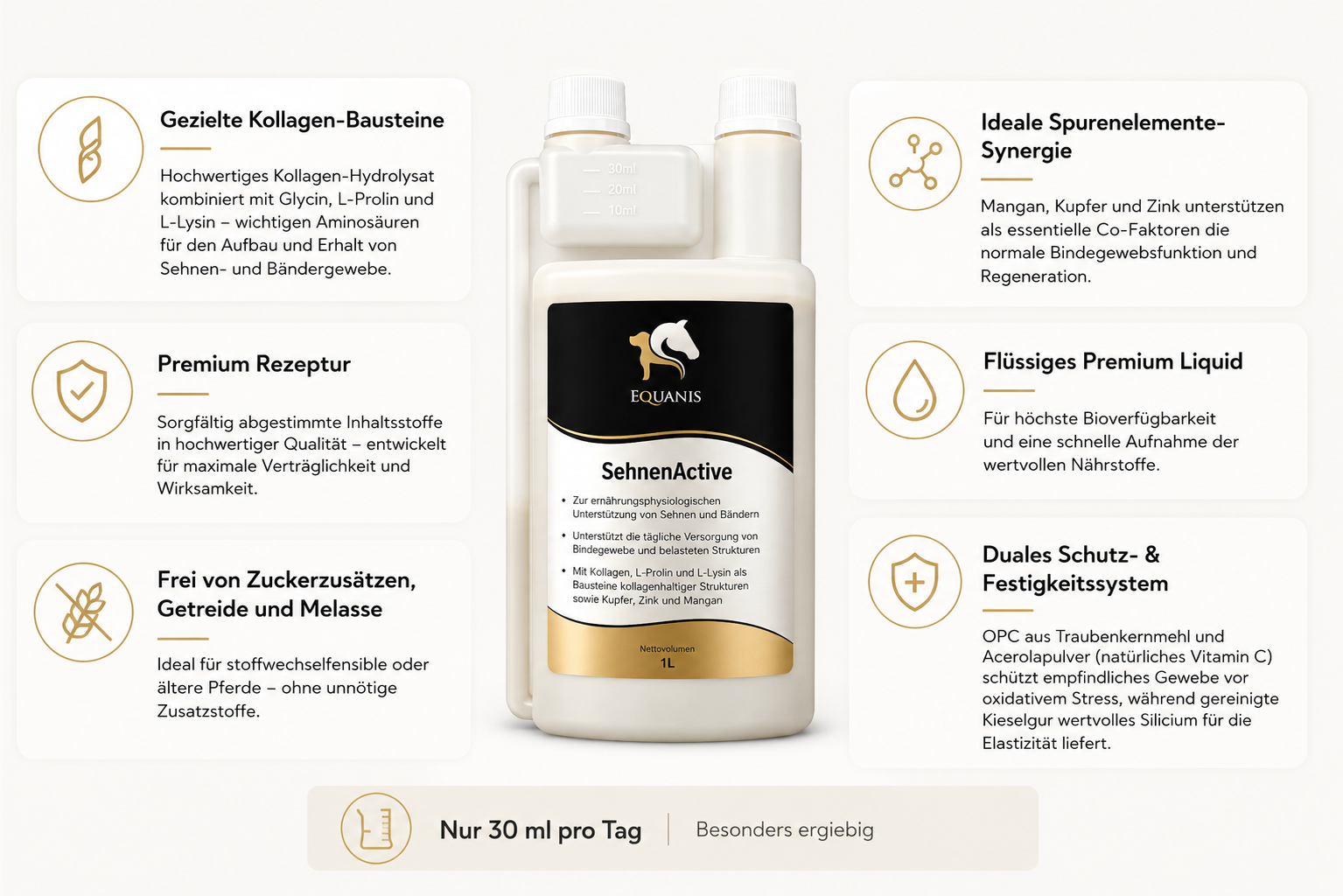 Sehnenschaden Pferd